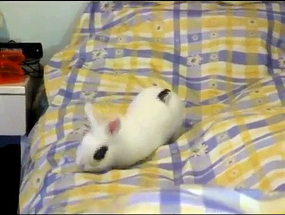 Mina: Le Sfloppate