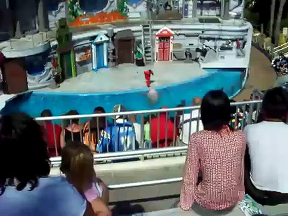 Sea Otter Rescue Show