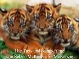 Tierfilme Naturfilme Tiere Animals Natur SelMcKenzie Selzer-McKenzie