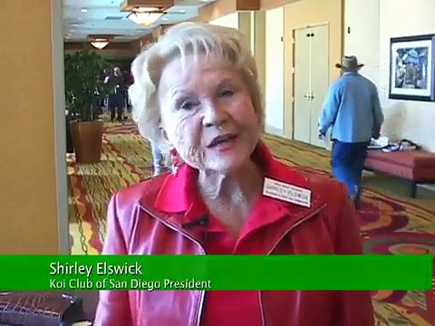 San Diego Koi Show 09