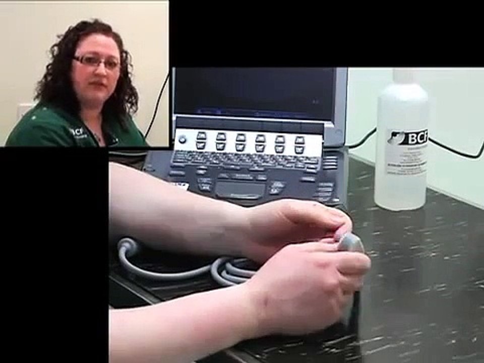 BCF Technology Abdominal Ultrasound Video 2 -- The ultrasound probe