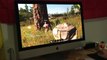 P4 RETINA IMAC 5K GAMING, Rust (Old Version), REVIEW, BENCHMARK, REASONS FOR BUYING AN IMAC p4