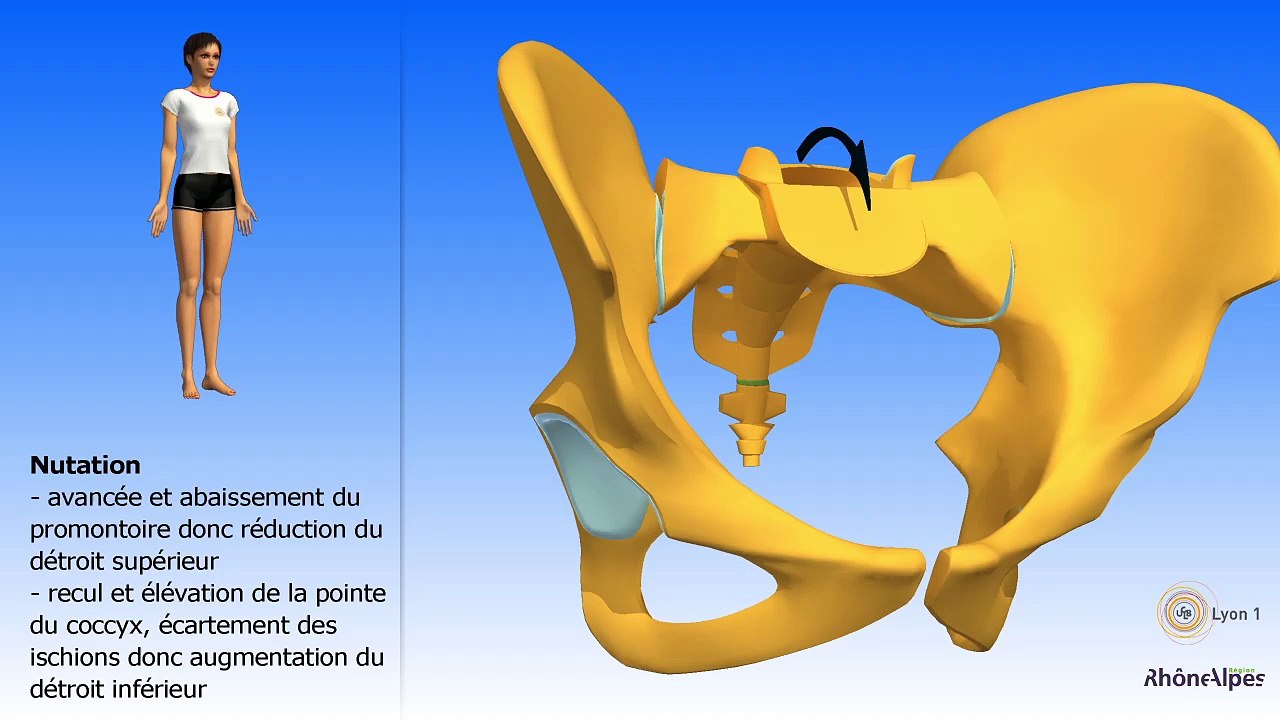 17 nutation contre-nutation, accouchement