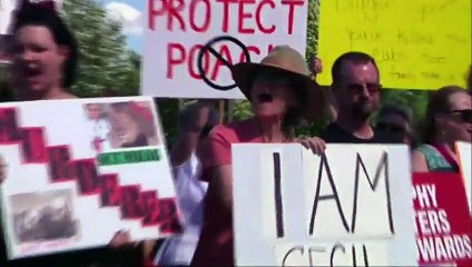 Manifestations devant la maison du dentiste qui a abattu le lion Cecil