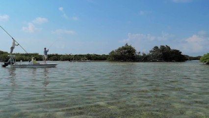 Fishing the Flats of Cuba