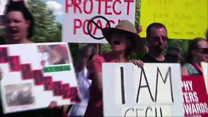 Manifestations devant la maison du dentiste qui a abattu le lion Cecil