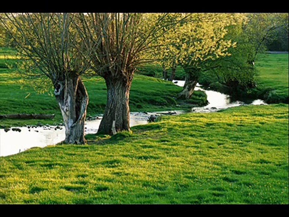 un boomerang" Dani & Etienne Daho video Dailymotion