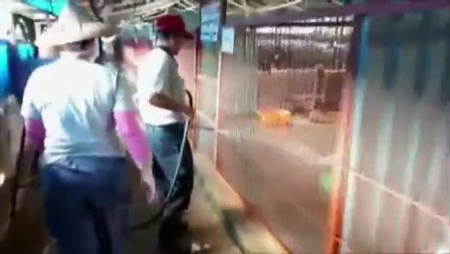 el encantador de perros-El tenaz Dong Dong(7ªTemp.)(1de2)