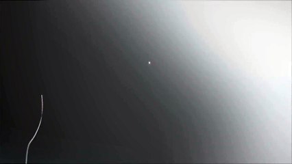 After Effects Project Files - Tentacles Logo reveal - VideoHive 7758868