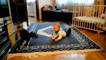 Funny Cats and Babies Video LOL Cute Funny Animals Fails Compilation Funny Baby Cats 2015 HD 720p