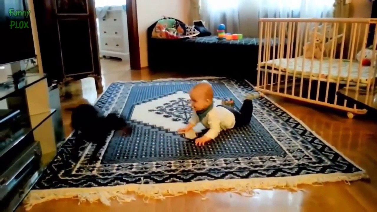 Funny Cats and Babies Video LOL Cute Funny Animals Fails Compilation Funny Baby Cats 2015 HD 720p