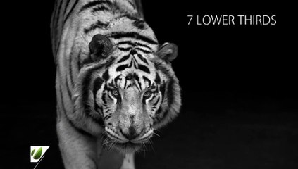 After Effects Project Files - Clean and Simple Lower Third - VideoHive 7791459