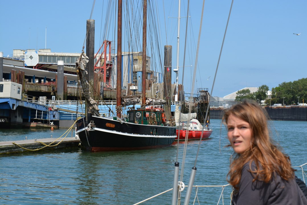 Promenades en Manche à bord de Drago