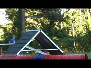 Nadège et Moka entrainement d'Agility du 29/07/2015