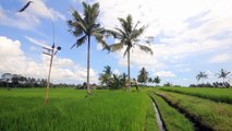 iRide Indonesia - Bali - drifting through the rice paddies