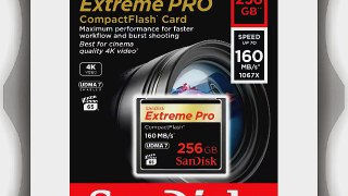 SanDisk SDCFXPS-256G-X46 Extreme Pro CompactFlash 256GB Speicherkarte (bis zu 160 MB/s lesen)