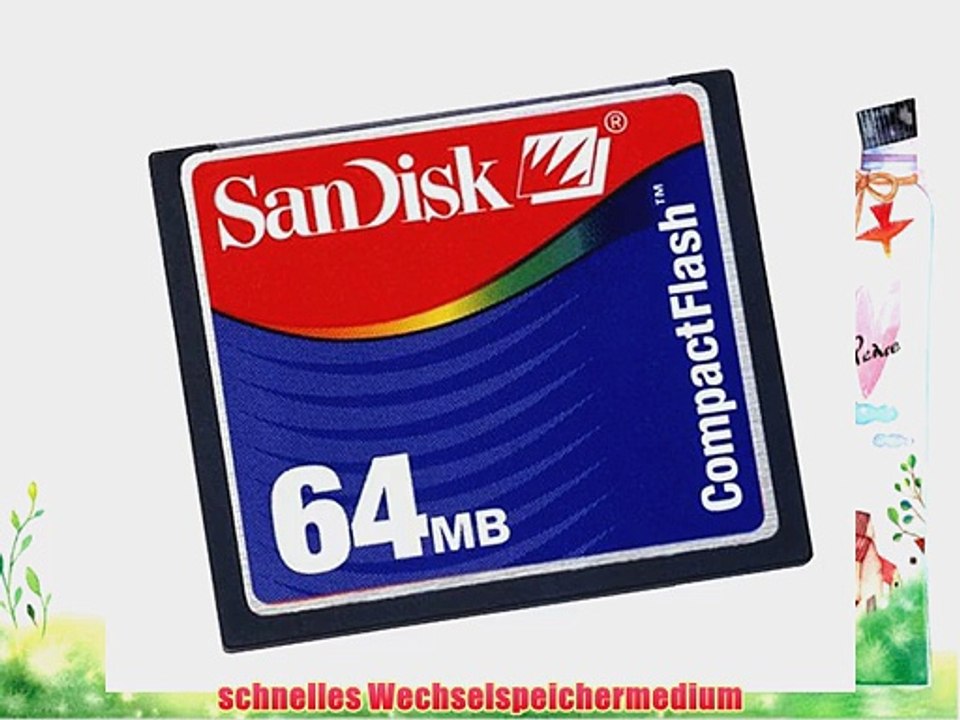 SanDisk CompactFlash Speicherkarte 64MB (Typ I)