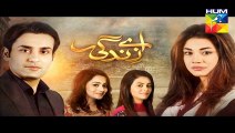 Aye Zindagi Episode 22 Promo HUM TV Drama 30 July 2015