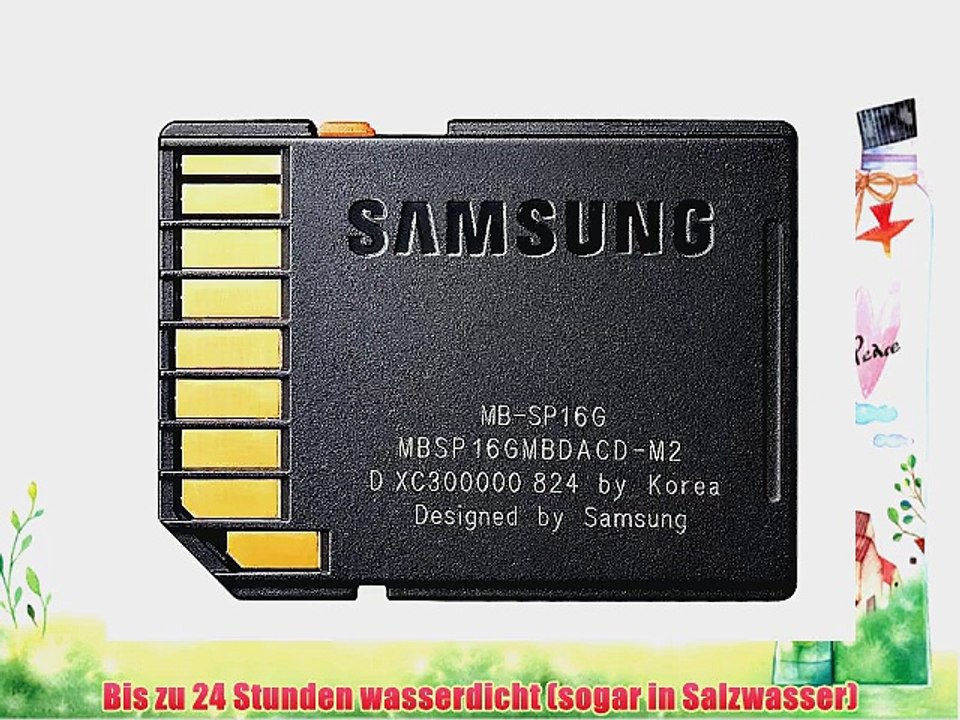 Samsung SDHC Plus 16GB Class 6 Speicherkarte (MB-SPAGEU)