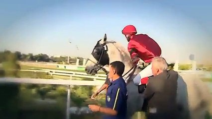 Cryotherapy For Speedy Recovery and Sports Injuries