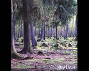 Lietuvos EKONOMIKA.wmv