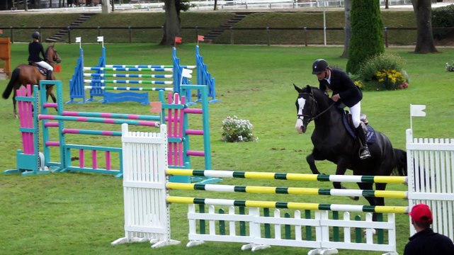 Ambre d'Elincourt (SF noir de 5 ans) au CIR de Compiègne le 30 7 2015