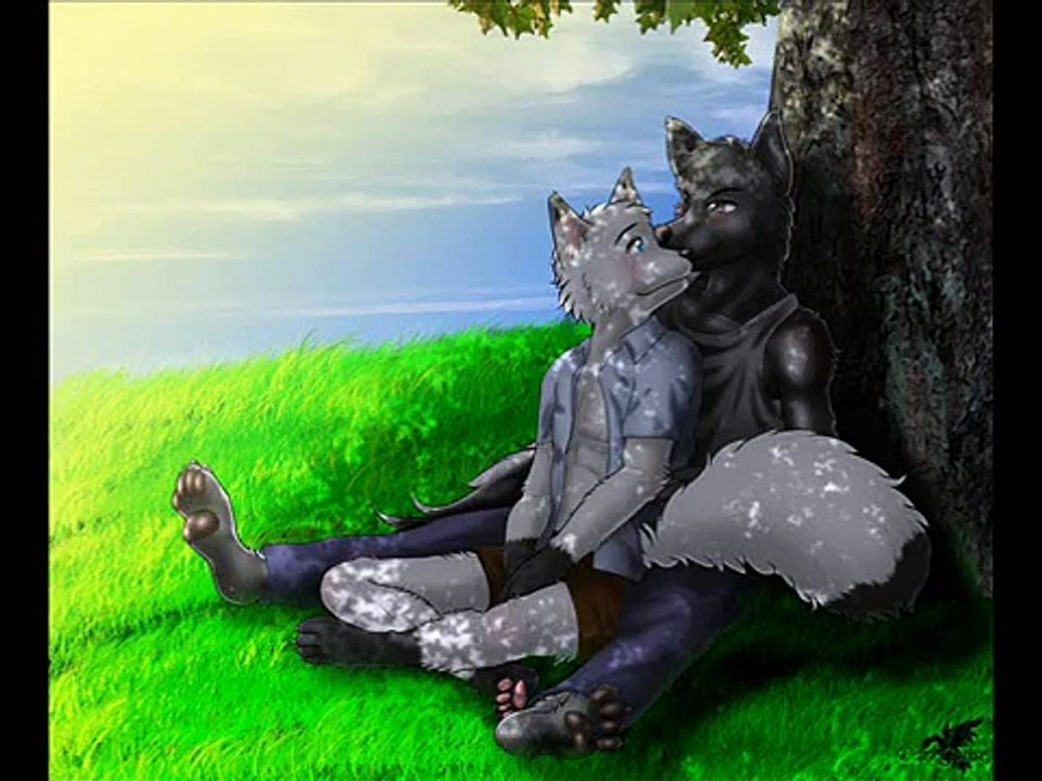 gay furry love: Amazed