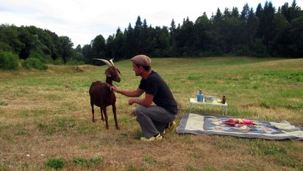 l'anniversaire de biquette tourne mal