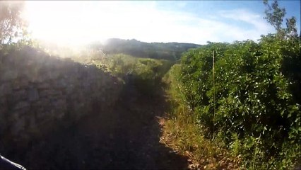 Test fixation guidon