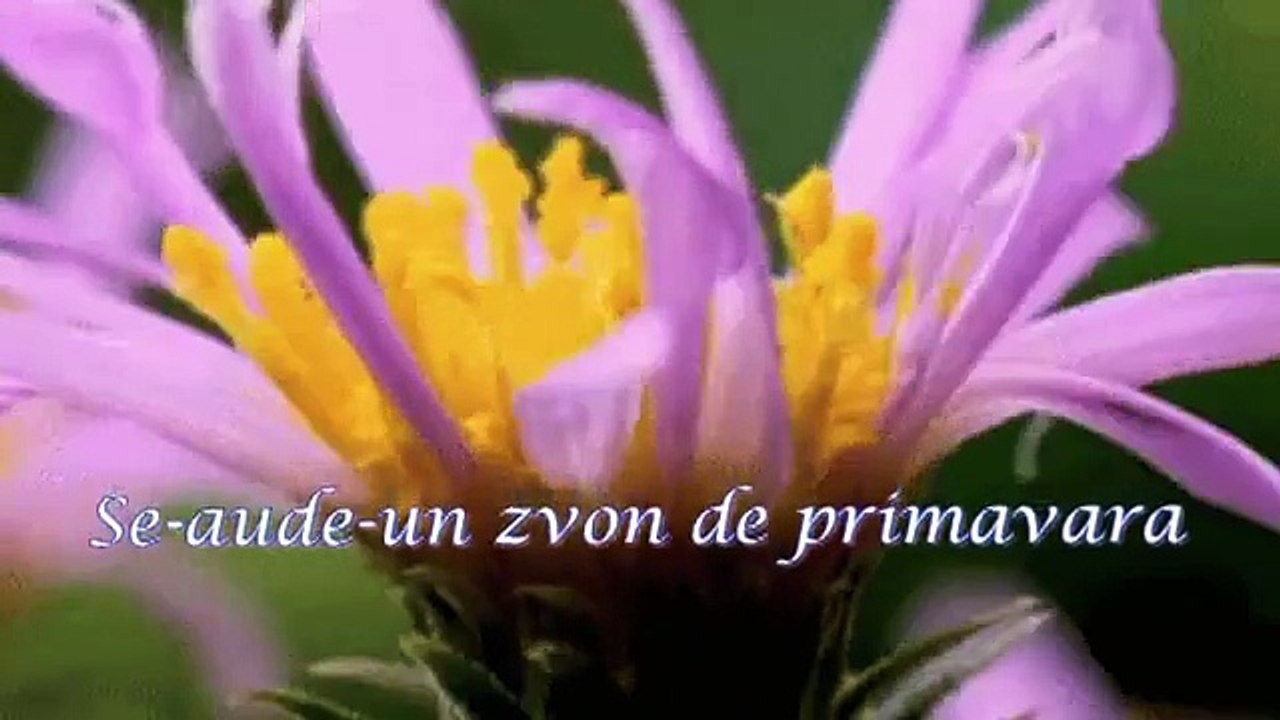 De ziua ta, Daniel - LA MULTI ANI!