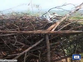 اکستانی حدود میں گرائے گئے بھارتی ڈرون سے جاسوسی کے ناقابل تردید ثبوت مل گئے آئی ایس پی آر