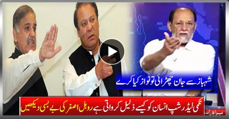 How Abominable Leadership Disgrace A Man Watch Servility Of Rohail Asghar (PMLN)