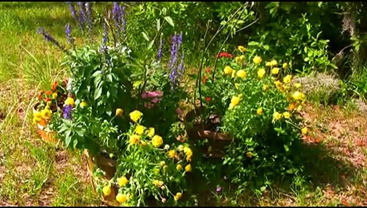 Pay It Forward Farm