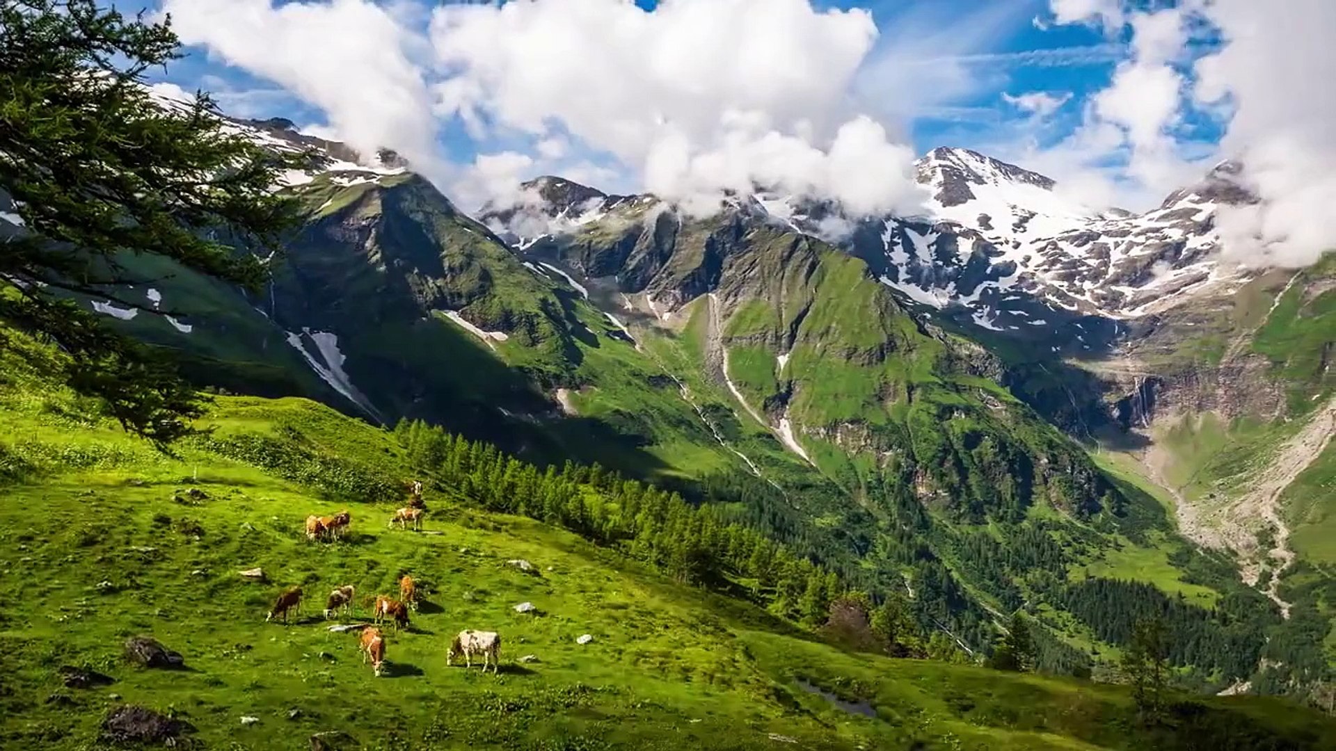 Travel Around The World : A Taste of Austria ( travel Video guides )