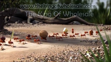 It's An Ants Life Cartoon - http://www.TheKingOfWholesale.com