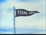 THE LONE STAR STATE