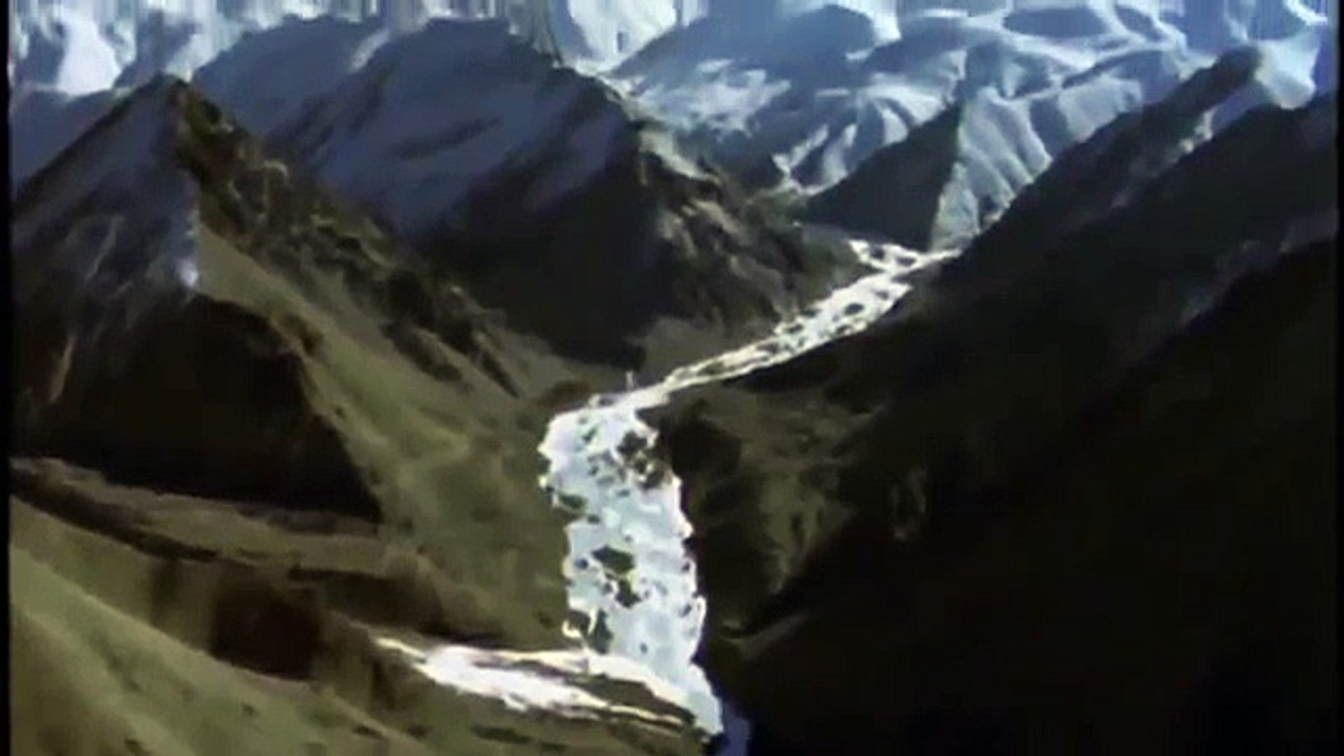 ⁣Life Of Snow Leopard - Animal Plannet 2015 - Nature Documentary