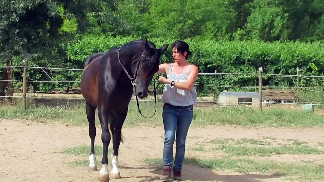 CW RIH entrainement Pierre André