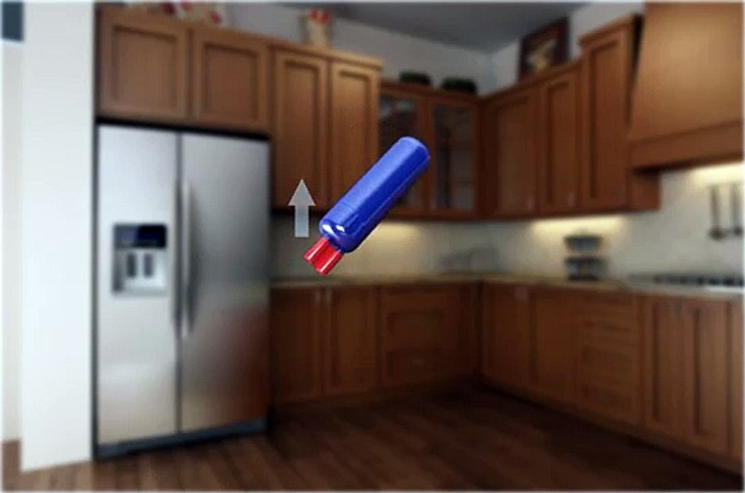 How to Replace Interior Refrigerator (Filter1) Water Filter