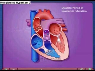 Alexandra Scott-Johnson's Cell Bio Extra Credit Project