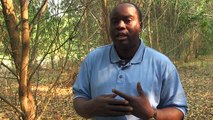 NOVACEL - Agroforestry and rural development, Democratic Republic of Congo / Webdoc Africa Express