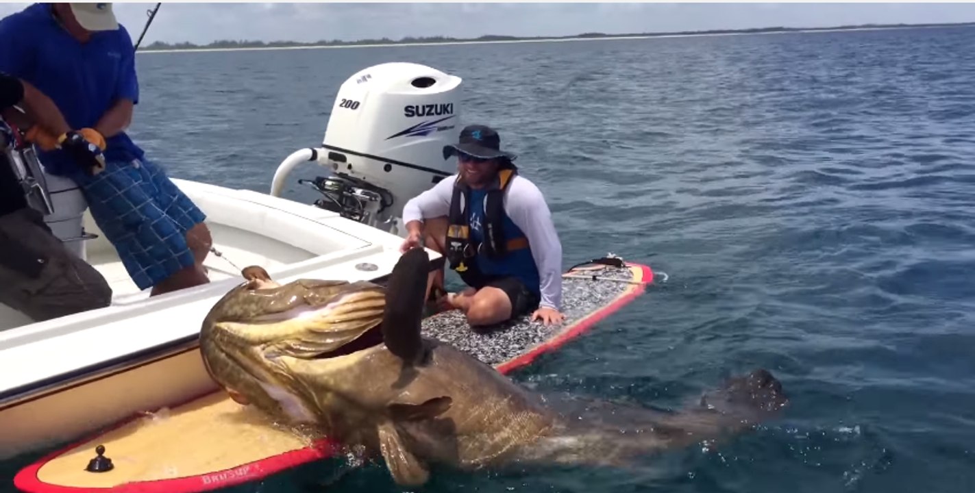 Paddleboarding Fisherman Snags Giant Fish