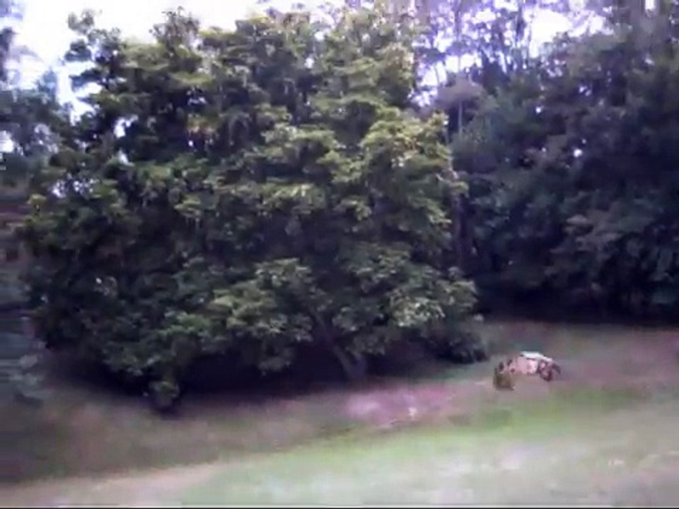 "FEDERAL" RESERVE USA GENOCIDE BY FABRICATED BRAIN DEATH FOR TRILLIONS VIA ORGAN "DONATION" SALES 14