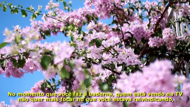 A MISSÃO ESPIRITUAL DO BRASIL (muito além dos jogos e das manifestações populares)