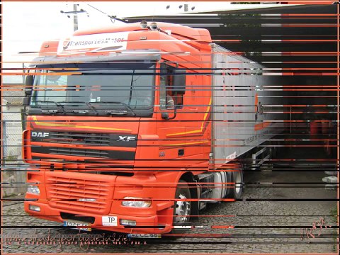 Transportes Matos & Filhos