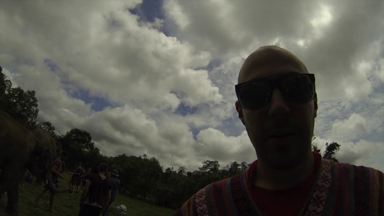 Thailande Chiang Mai Elephant (Juin 2015)