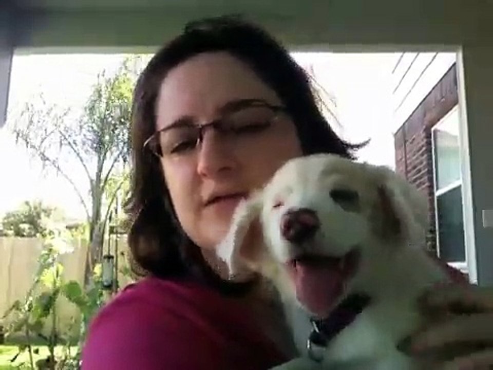 Puppy sitting. I love it!