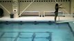 Girl Hits Head off Diving Board