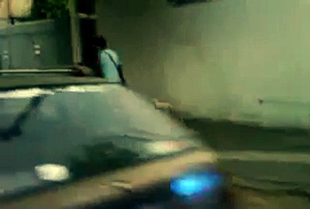 crueldad animal maltrato a french poodle