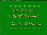 The Swallow - {La Golondrina} - Brendan O'Dowda